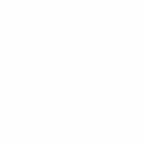 SEO Company for Shopify Plus